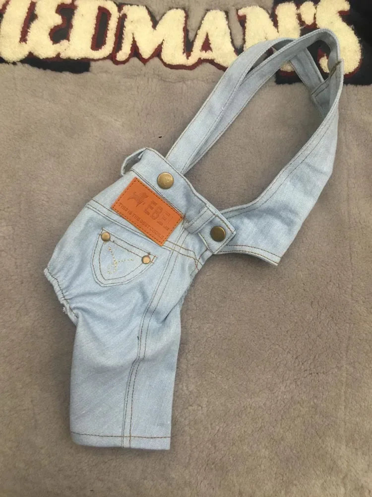 2024 New Denim Pet Dog Overalls