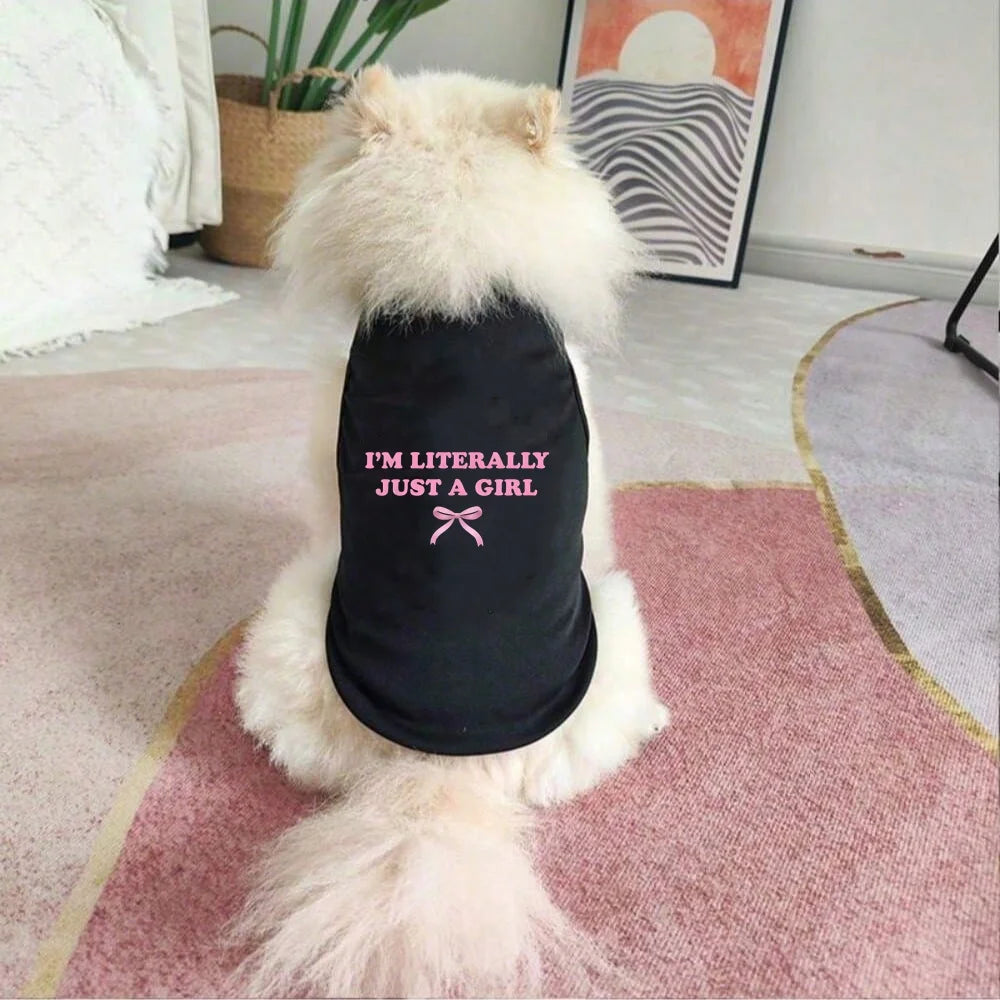 1pc Spring New Minimalist Letter Printed Pet Vest